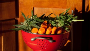 bowl