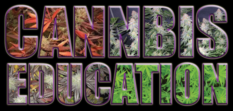 Washington zakazuje testovanie na THC