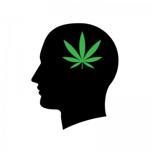 head canna