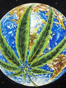 a hempy world