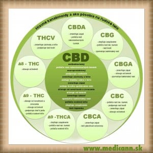 kanabinoidy MediCann
