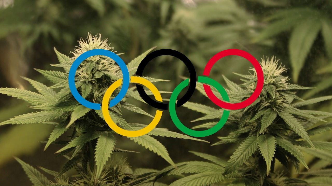 CBD na olympiáde v Pchjongčchangu (alebo konope pomáha aj športovcom)
